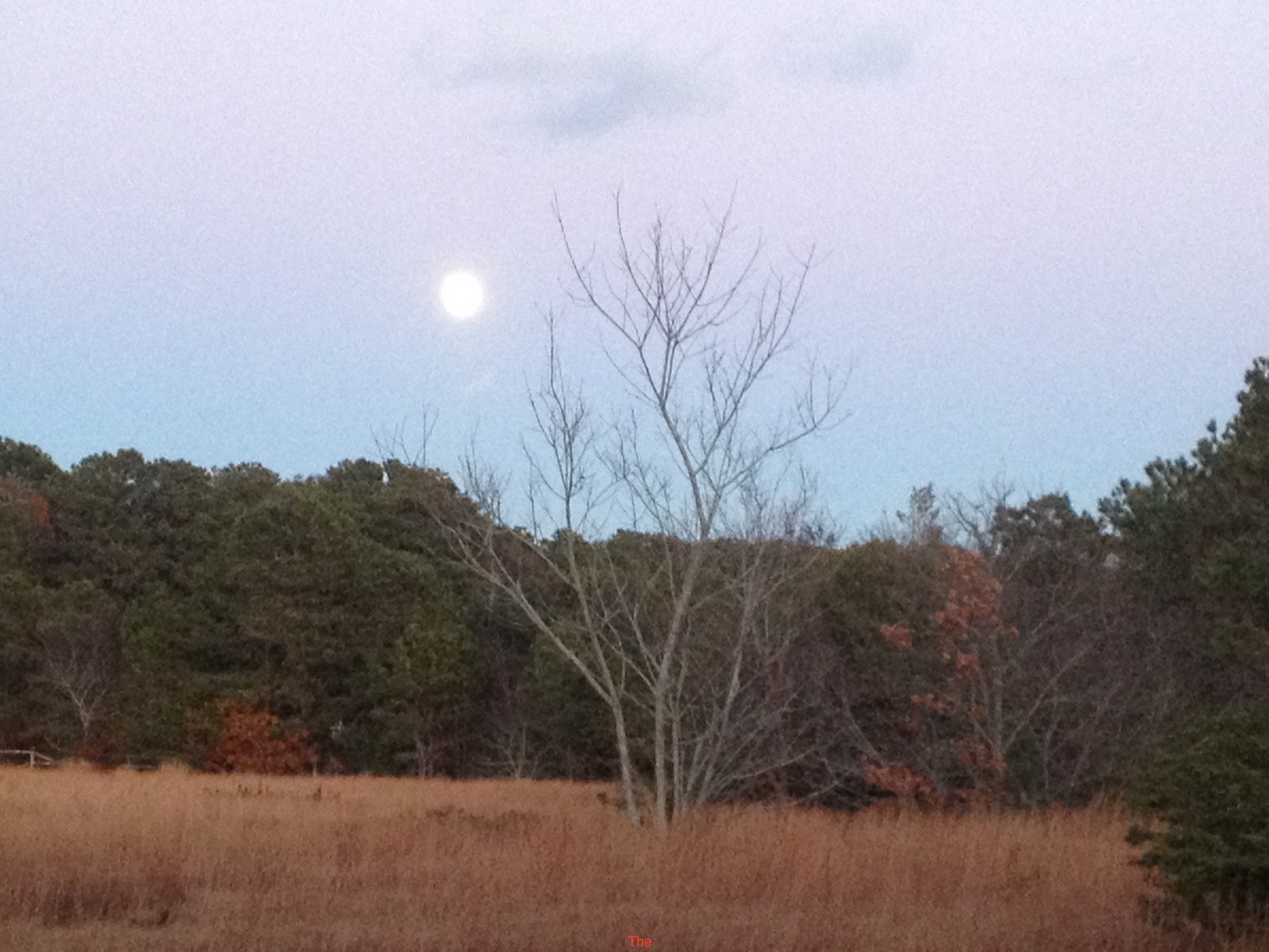 IMG_1404Deb's moon medow