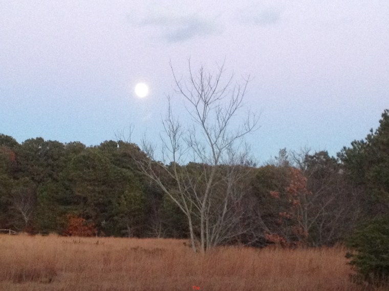 IMG_1404Deb's moon medow